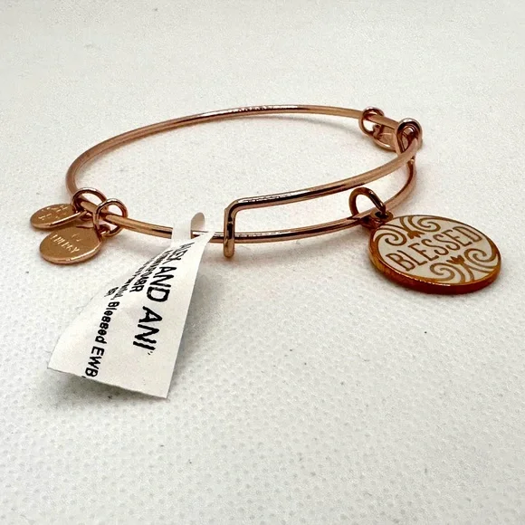 Alex and Ani Gold 'Blessed' Charm Bracelet - Picture 2 of 4